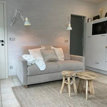 Apartment Au Coeur *